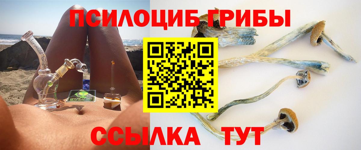 где продают   Вход с VPN  Бийск  Псилоцибиновые грибы Cubensis 