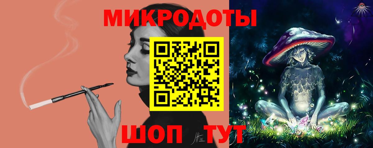 Псилоцибиновые грибы Psilocybe Бийск